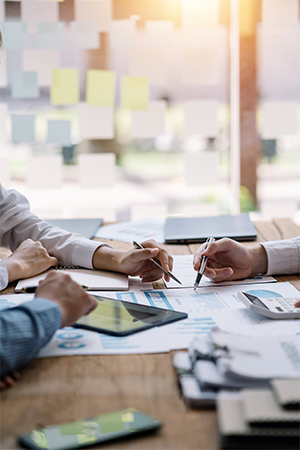 Investor Business Plan Consulting in Canada