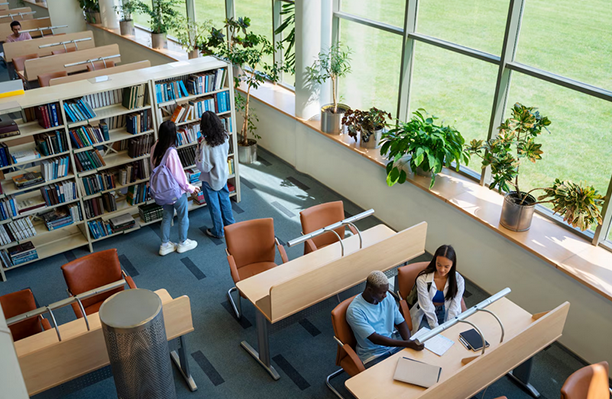 Top Management Consultancy in Canada