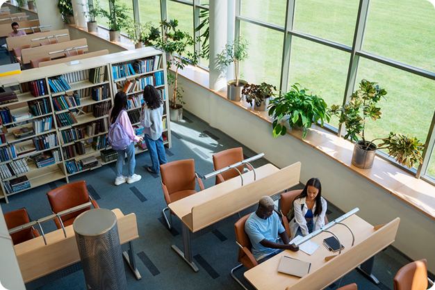 Top Management Consultancy in Canada